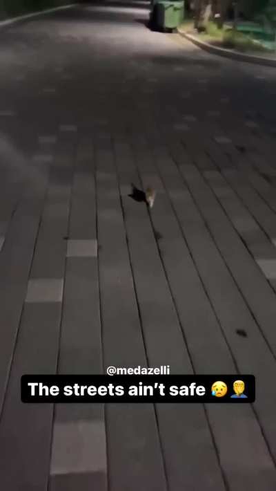 Put the wunk in JAIL