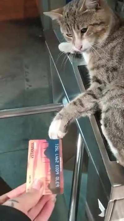 Sitting on the machine rejecting tickets