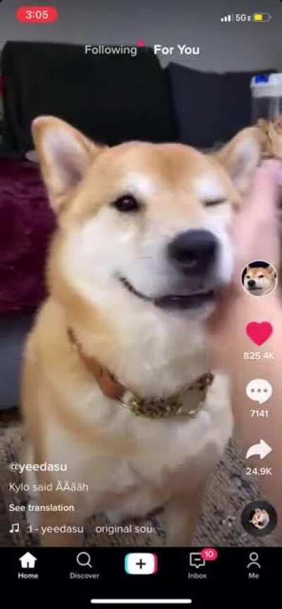 Kylos leaked audition tapes