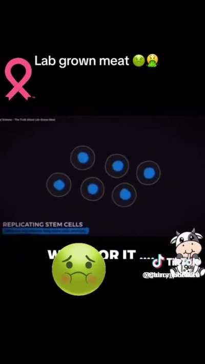 Yummy, $.05 burgers make sense.