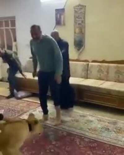 By using a lion to scare you uncle