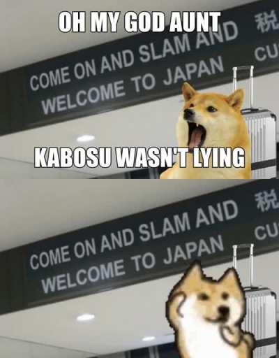 Le Shibe Jam has arrived