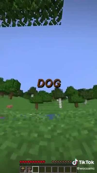 This shit is all over tiktok