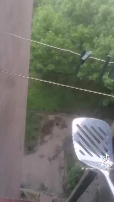 Neironicno najjaci tiktok