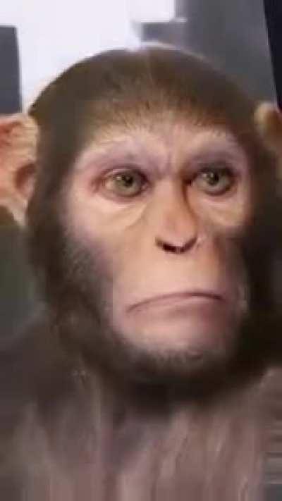 New Human Evolution theory