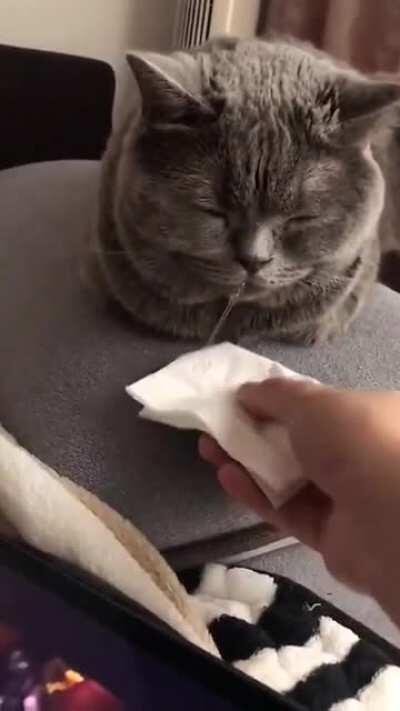 Слюни подбери