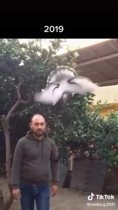 😂😂😂😂😂😂😂