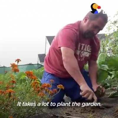 Dude plants separate garden for groudhogs