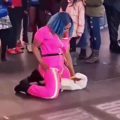 Apresento a vcs um novo genero lgbt os ducksexuais😳👉👈