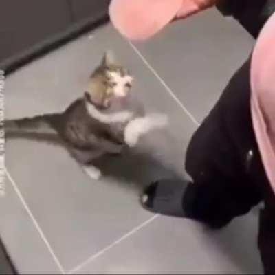 Mais uma vítima da sociedade 😔✊