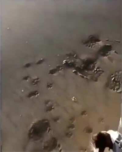 It was a mistake coming out here