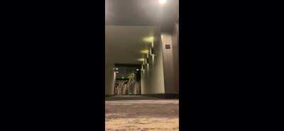 Natasha n friend running naked and twerking