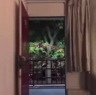 Hotel security ne'er stood a chance!