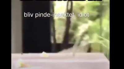 haha jeg fik dig din nar