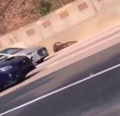 He spawned at the wrong place