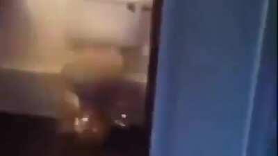 skibbity bop mmm dada