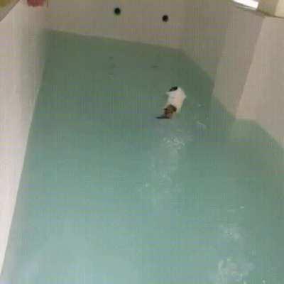 This is just too cute! It has to be illegal!