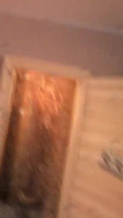 Кола и Ментосю Классика...