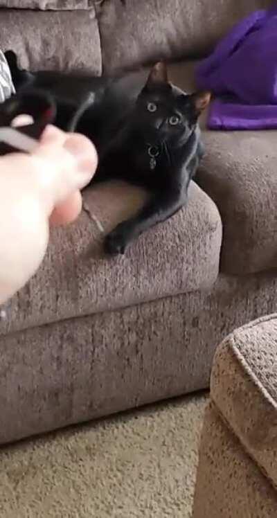 She really likes twist ties