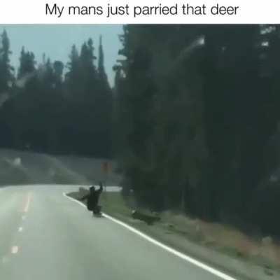 My man's just parried that deer