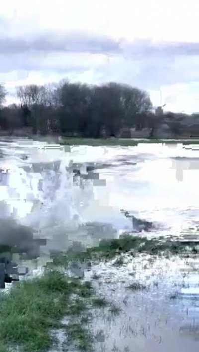 Bilmediğin sulara atını sürmeyeceksin aga