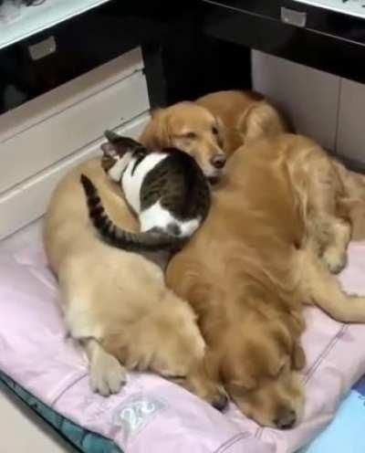 This really belongs here.