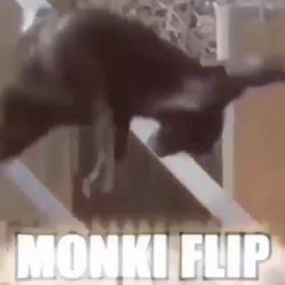 For the monki flip pls🙏