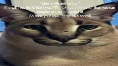 floppa was the case they gave me (music video)