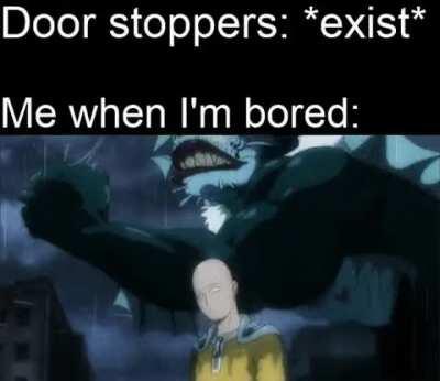 The cat enjoys it too