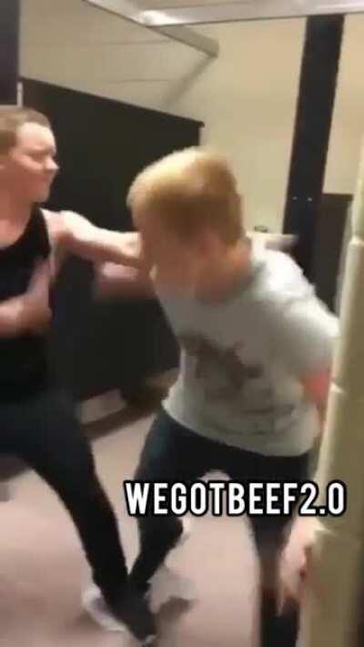 silly monkeys fighting