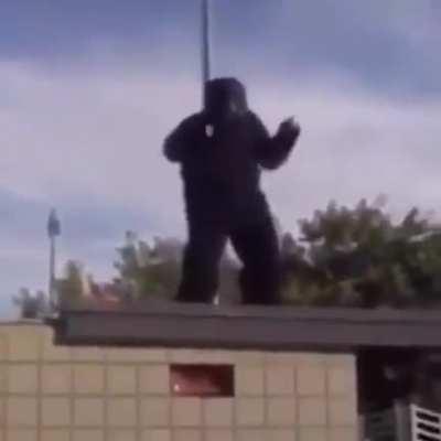 monke flip