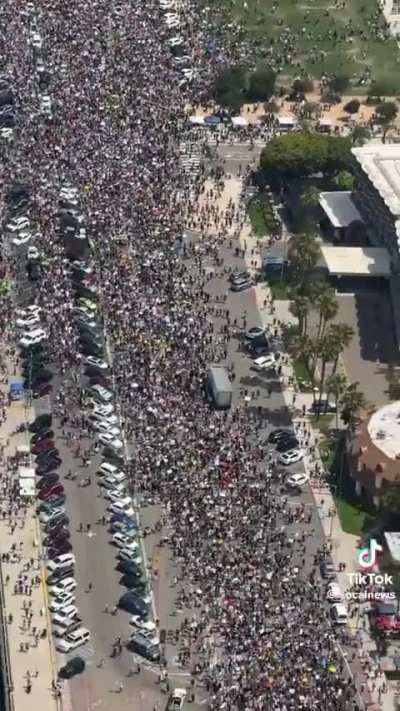 San Diego Water Front 6.15.2025: No Kings Day