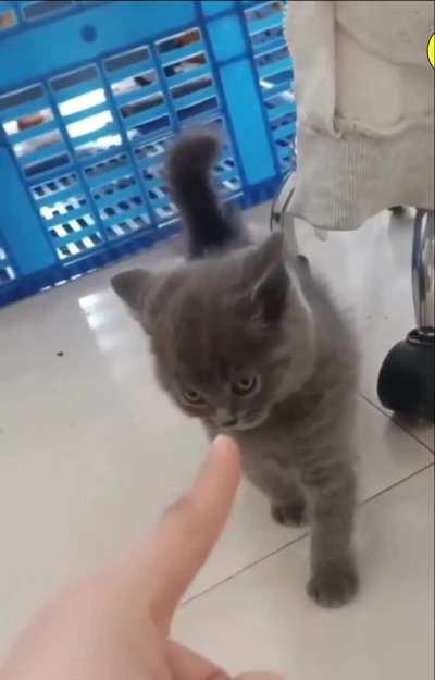 The finger is the worst enemy