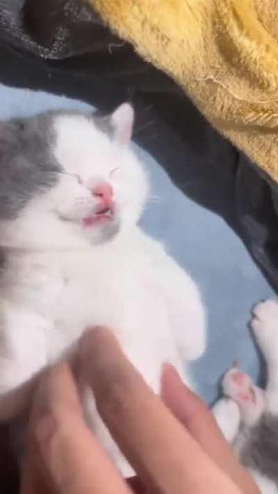 this is real awwwwwwwww