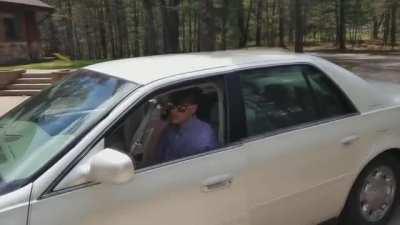 allow me to introduce myself