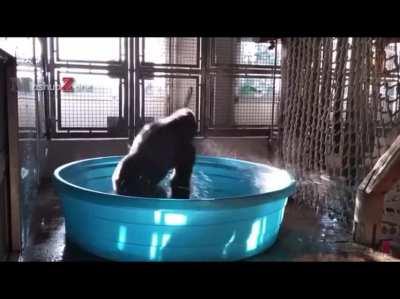 Bathing monke