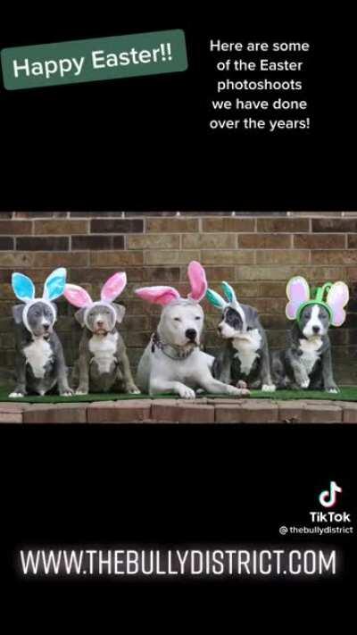 I hate photos like these. It just doesn’t blend well honestly, looks stupid