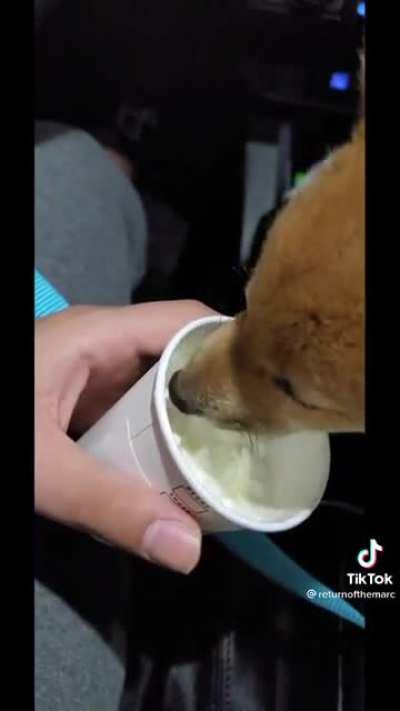 Tava tudo indo tão bem...