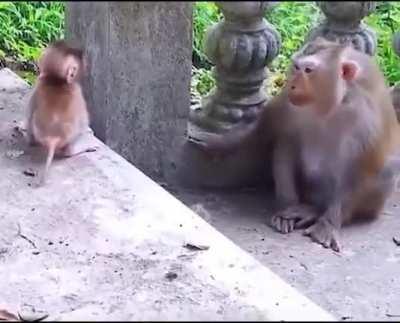 The gentle and loving gaze of a mother