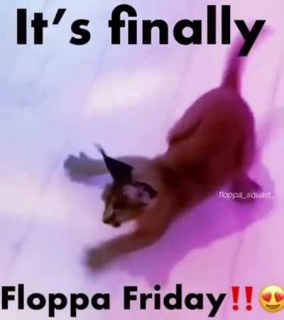 Floppa Friday!