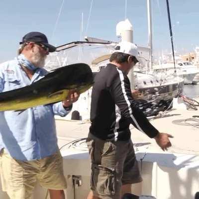 Be in the right spot so a sea lion? takes your big fish