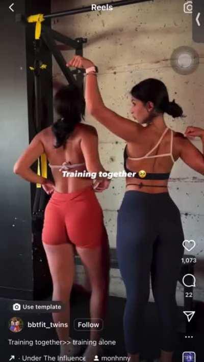 Bbfit twins