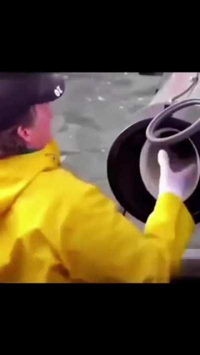 The perfect seamless connection, niiiiiiio is the soul.