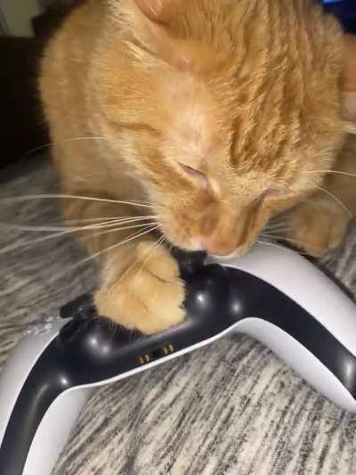 he’s a ~gamer~