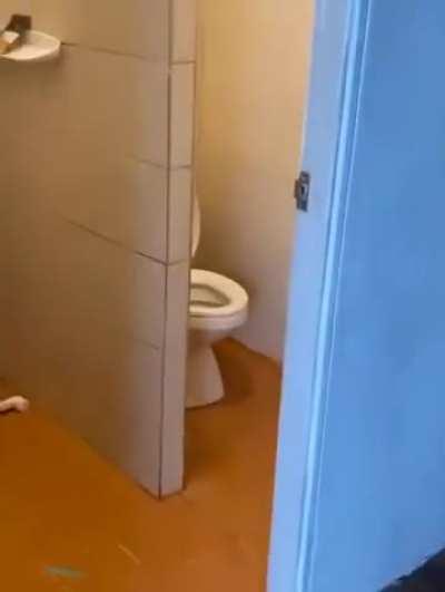 Too little to cause such a big mess