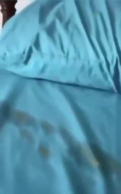 Thanks, I hate it when the shit hits the fan