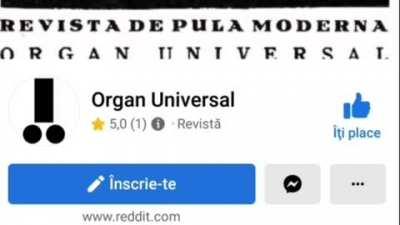 top 5 referinte pula