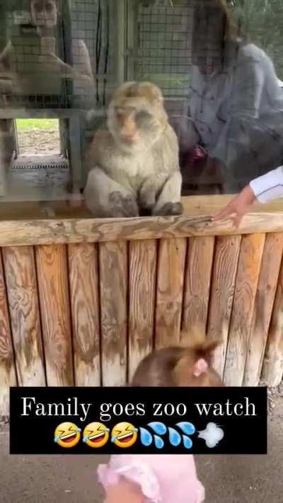 Bro beating to the visitors is wild!