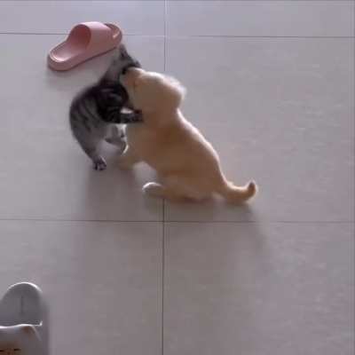 The beginning of a beautiful and chaotic friendship