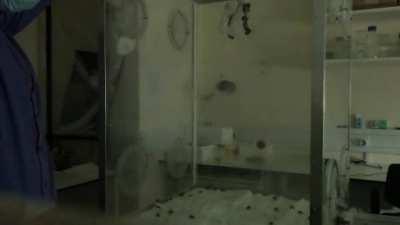 Bees falling out of the sky when the lights go out